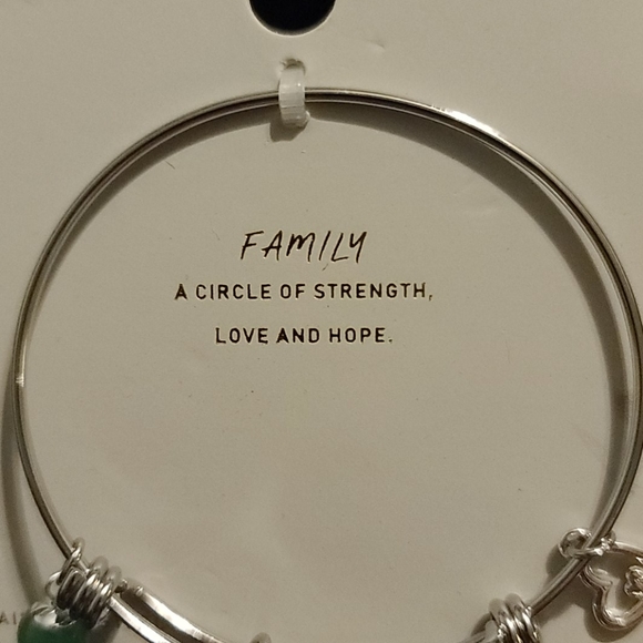 Stainless steel family expandable charm bracelet s - Picture 2 of 6